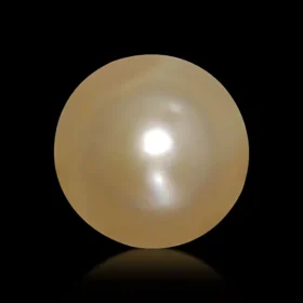 Best Quality Burmese Golden Pearl